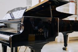 Noor-Muusik-2025-Foto-Joosep-Ints-01