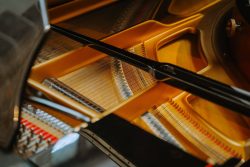 Noor-Muusik-2025-Foto-Joosep-Ints-22